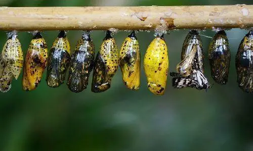 Hilfe bei der JOOMLA!® Migration